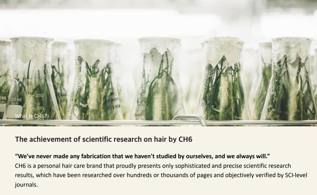 Wasfa Kalwanji CH6 Herbal Shampoo – Gentle & Sulfate-Free