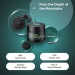 Himalayan Pure Shilajit Resin – Natural Mineral Supplement